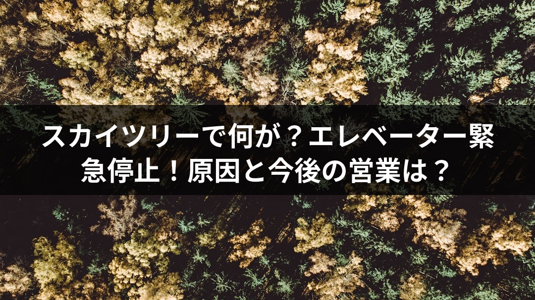 スカイツリーで何が？エレベーター緊急停止！原因と今後の営業は？
