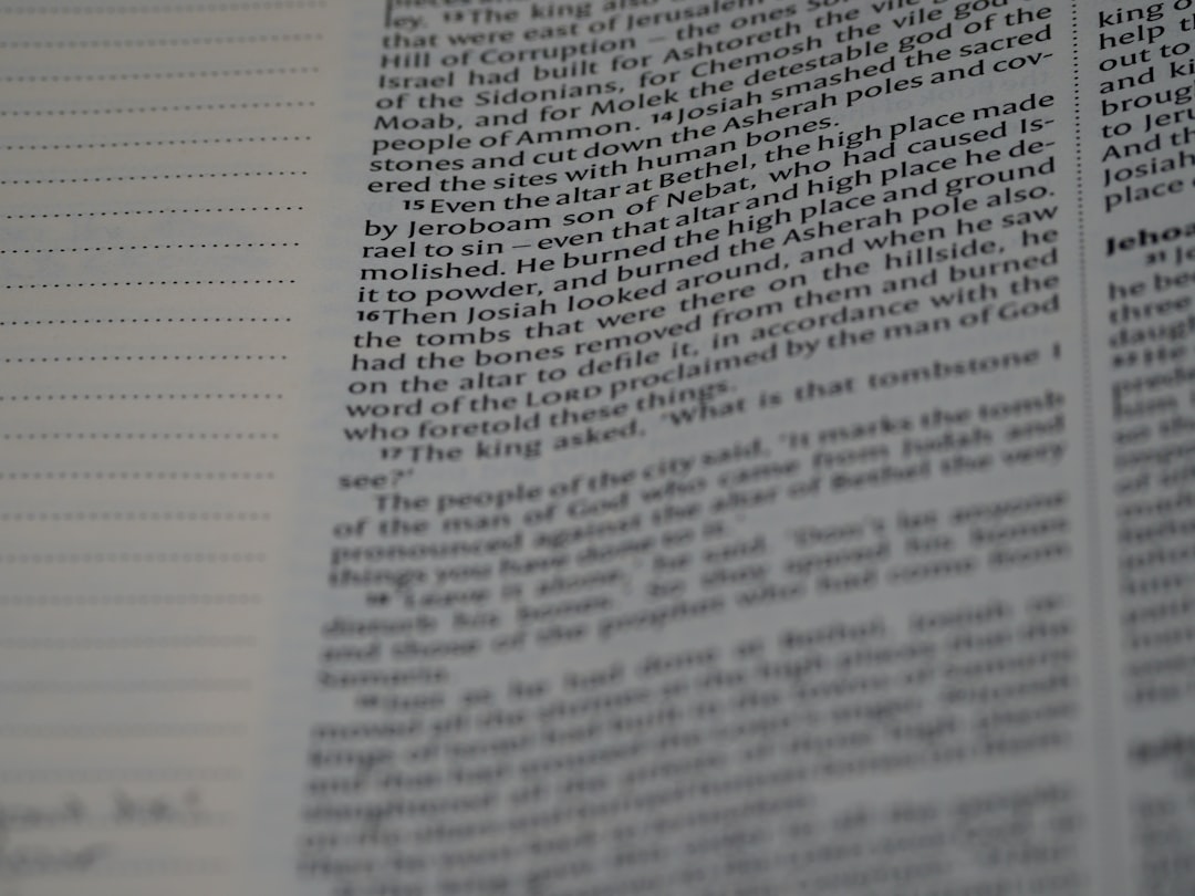 報告書を読むときの注目ポイント7つ