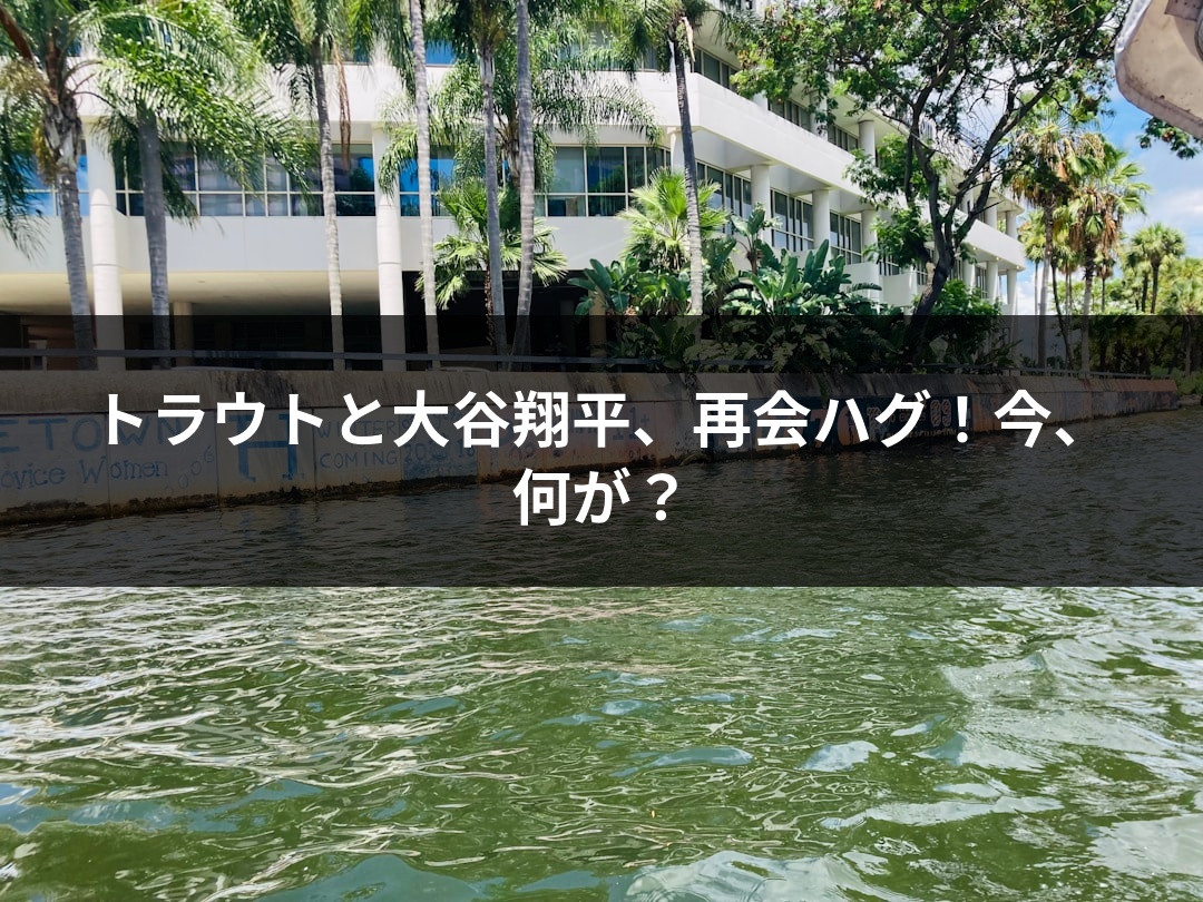 トラウトと大谷翔平、再会ハグ！今、何が？