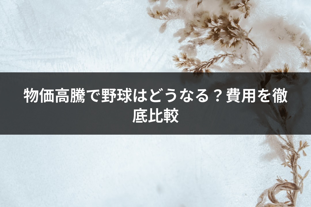 物価高騰で野球はどうなる？費用を徹底比較