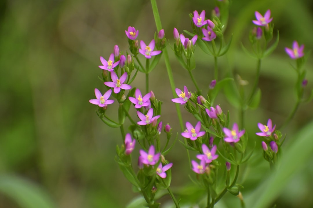 関連記事: ヒズボラ報復か!? イスラエル、レバノン南部で何が？