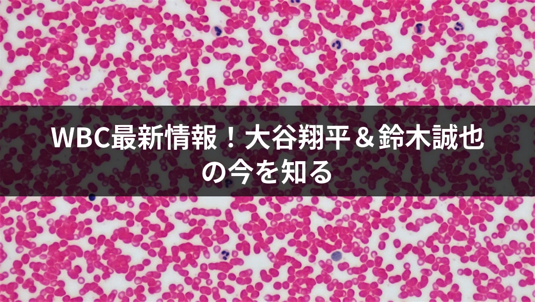 WBC最新情報！大谷翔平＆鈴木誠也の今を知る