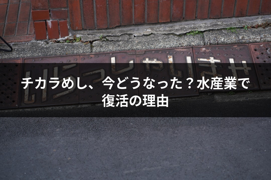 チカラめし、今どうなった？水産業で復活の理由