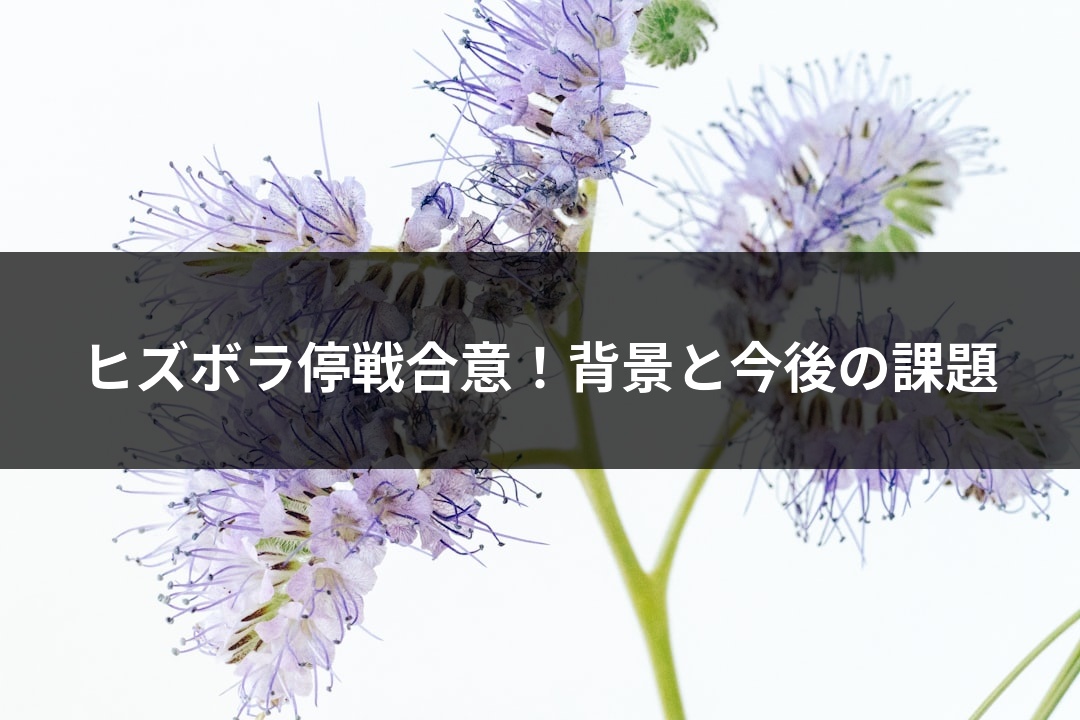 ヒズボラ停戦合意！背景と今後の課題