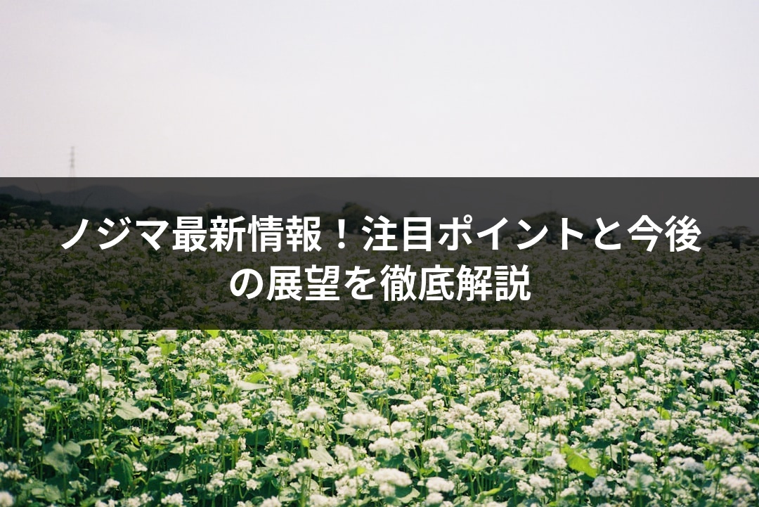 ノジマ最新情報！注目ポイントと今後の展望を徹底解説