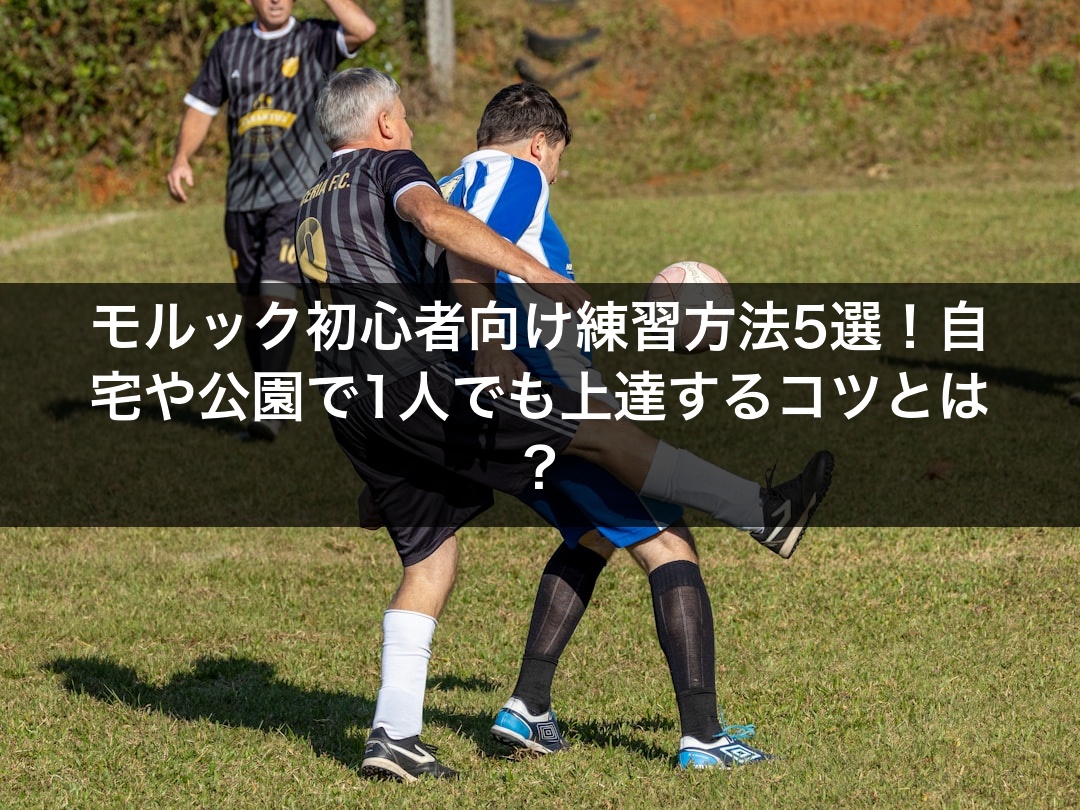 モルック初心者向け練習方法5選！自宅や公園で1人でも上達するコツとは？