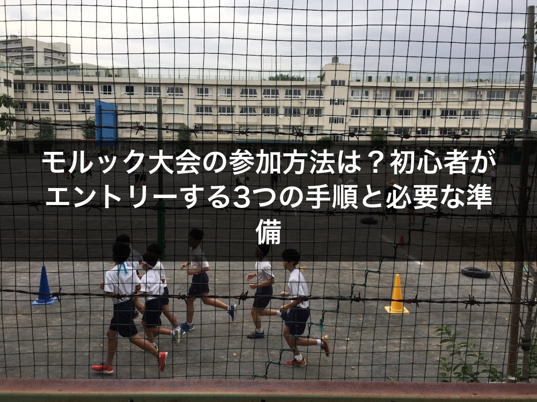 モルック大会の参加方法は？初心者がエントリーする3つの手順と必要な準備