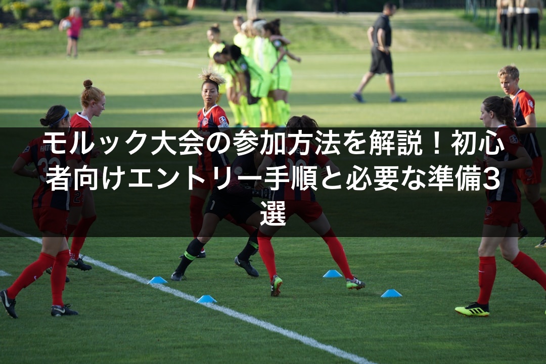 モルック大会の参加方法を解説！初心者向けエントリー手順と必要な準備3選